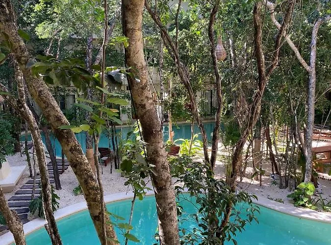 Jungle View 2bed 2bath Condo/ Wi-fi/ Pool/ Gym Apartment Tulum