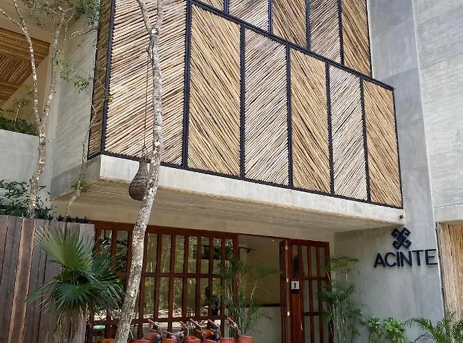 Apartment Jungle View 2bed 2bath Condo/ Wi-fi/ Pool/ Gym