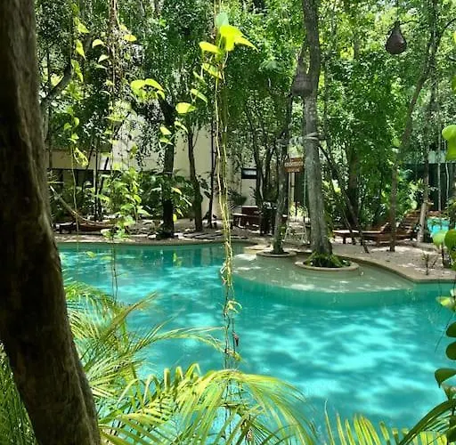 Apartment Jungle View 2bed 2bath Condo/ Wi-fi/ Pool/ Gym
